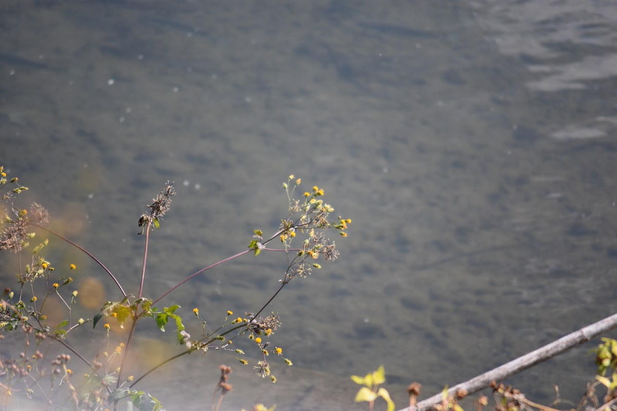 f:id:BlueTech:20210102212611j:plain