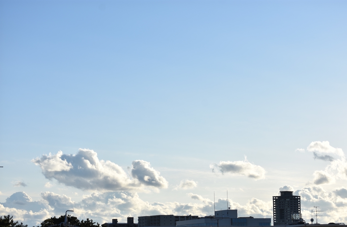 f:id:BlueTech:20210102213603j:plain