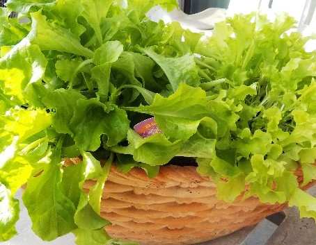 f:id:BlueTech:20210104201013j:plain