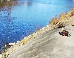 f:id:BlueTech:20210104201211j:plain