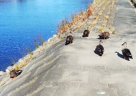 f:id:BlueTech:20210104201248j:plain