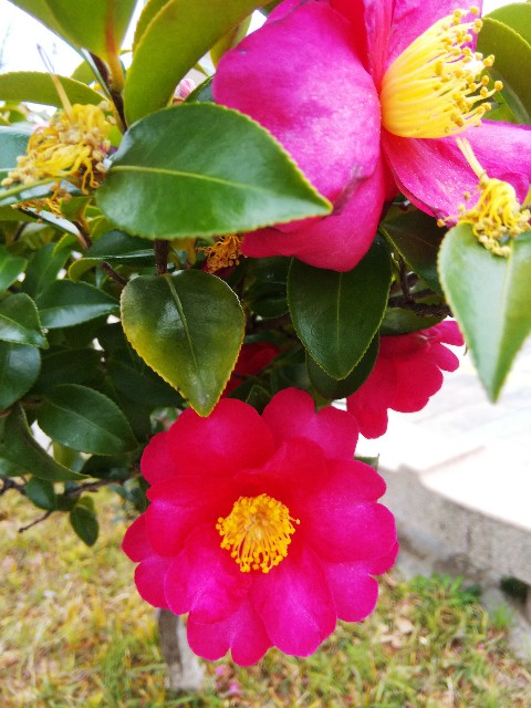 f:id:BlueTech:20210106124409j:plain