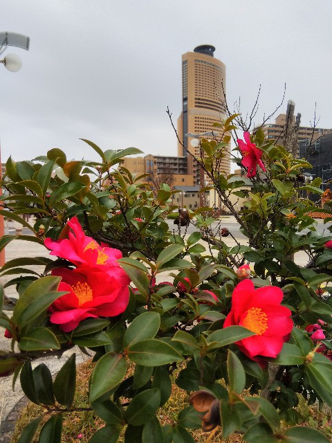 f:id:BlueTech:20210106124415j:plain