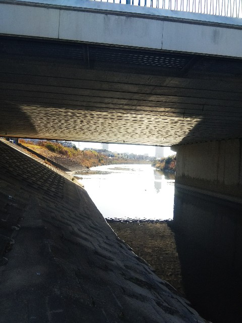 f:id:BlueTech:20210115213828j:plain