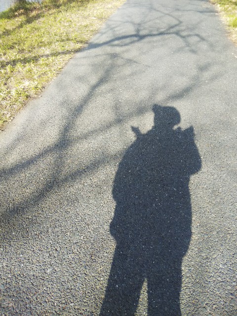 f:id:BlueTech:20210115213834j:plain