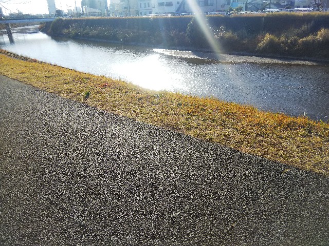 f:id:BlueTech:20210115213857j:plain