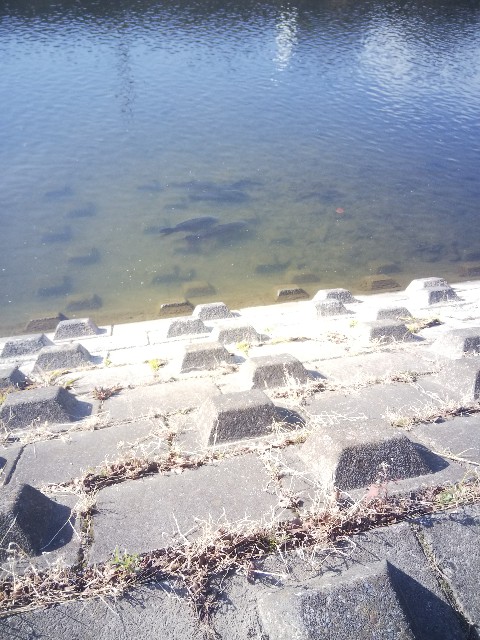 f:id:BlueTech:20210115214232j:plain