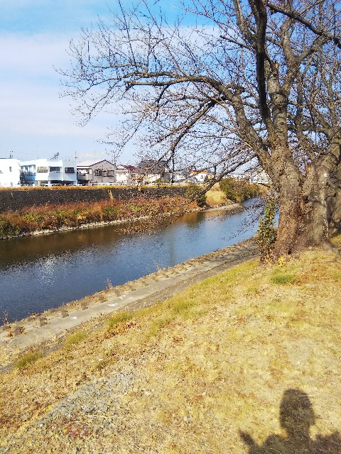 f:id:BlueTech:20210115215501j:plain