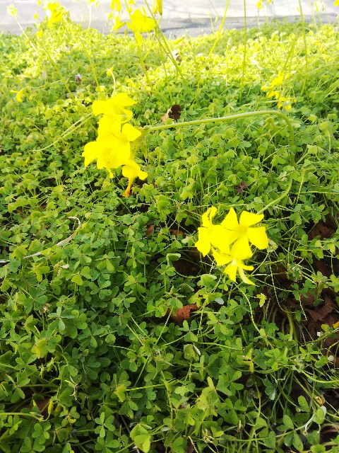 f:id:BlueTech:20210115215505j:plain