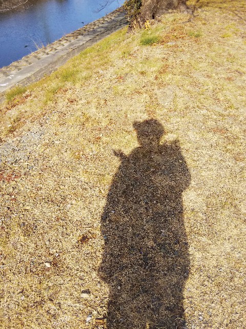 f:id:BlueTech:20210116094829j:plain