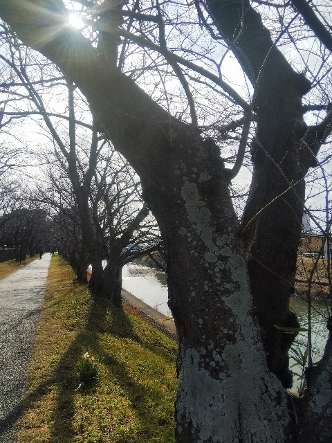 f:id:BlueTech:20210116095032j:plain