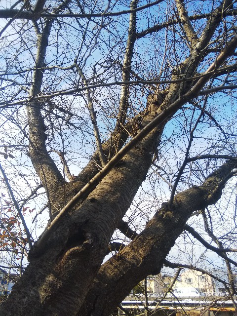 f:id:BlueTech:20210116095041j:plain