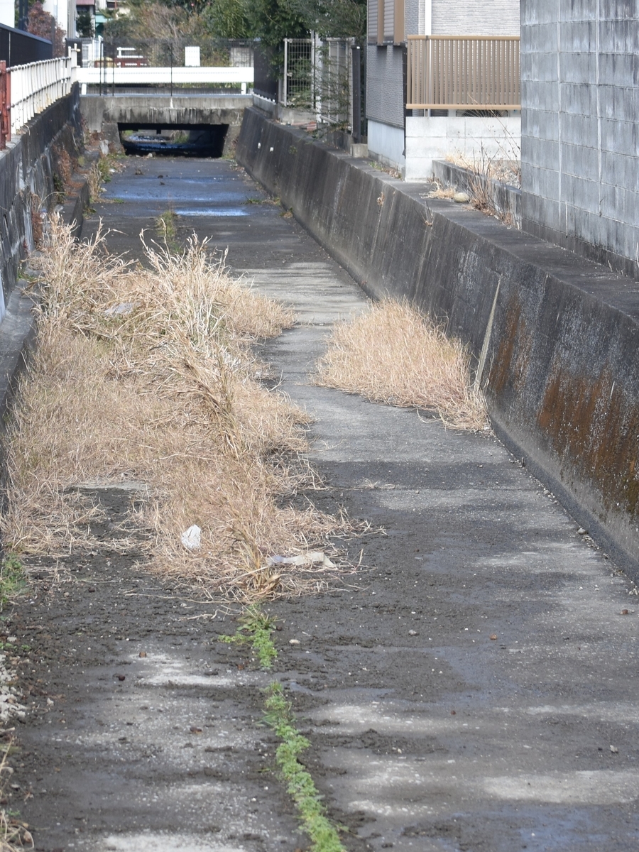 f:id:BlueTech:20210120183837j:plain