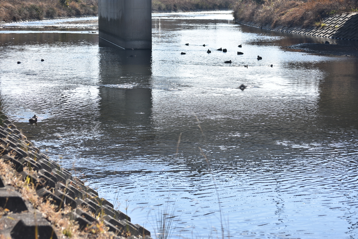 f:id:BlueTech:20210120200047j:plain