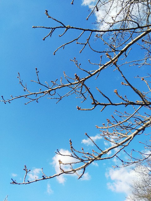 f:id:BlueTech:20210127221621j:plain