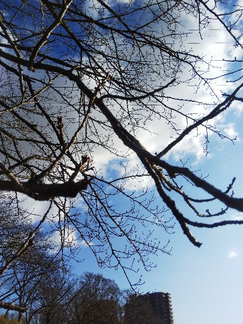 f:id:BlueTech:20210127221635j:plain