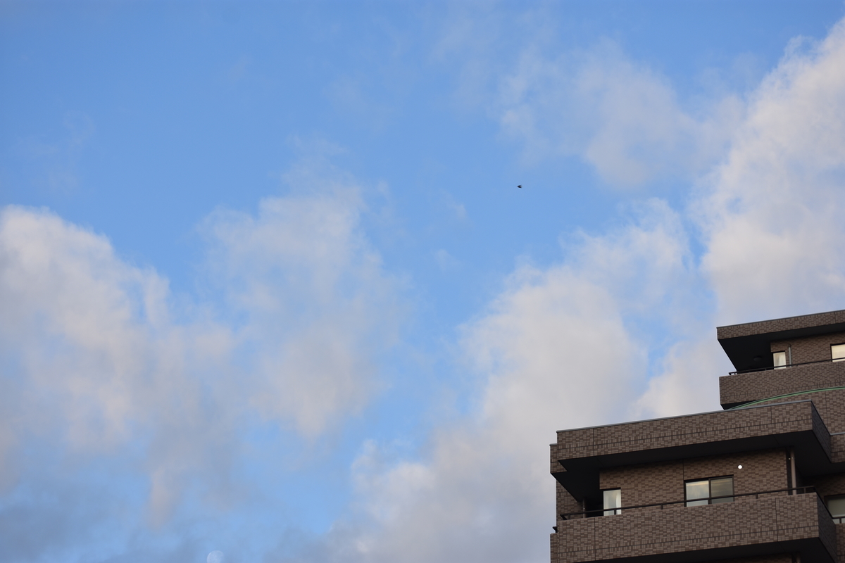 f:id:BlueTech:20210201181007j:plain