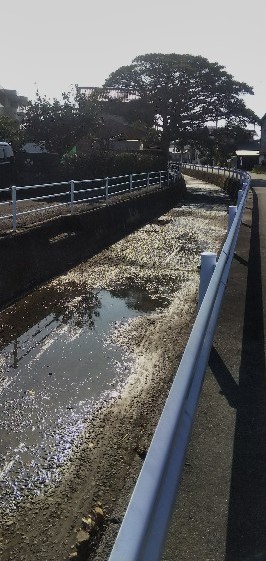 f:id:BlueTech:20210202185204j:plain