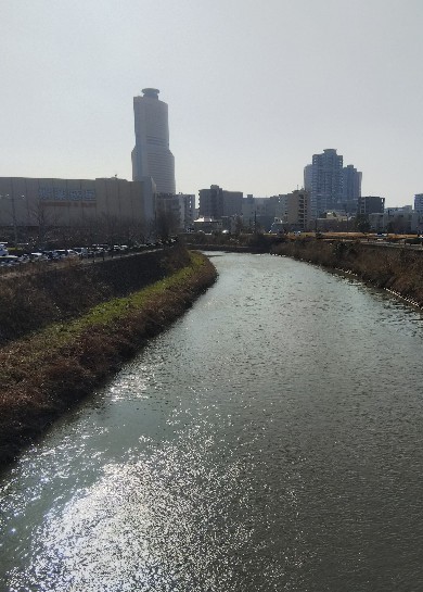 f:id:BlueTech:20210202185602j:plain