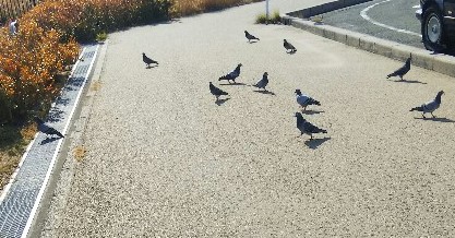 f:id:BlueTech:20210202185957j:plain