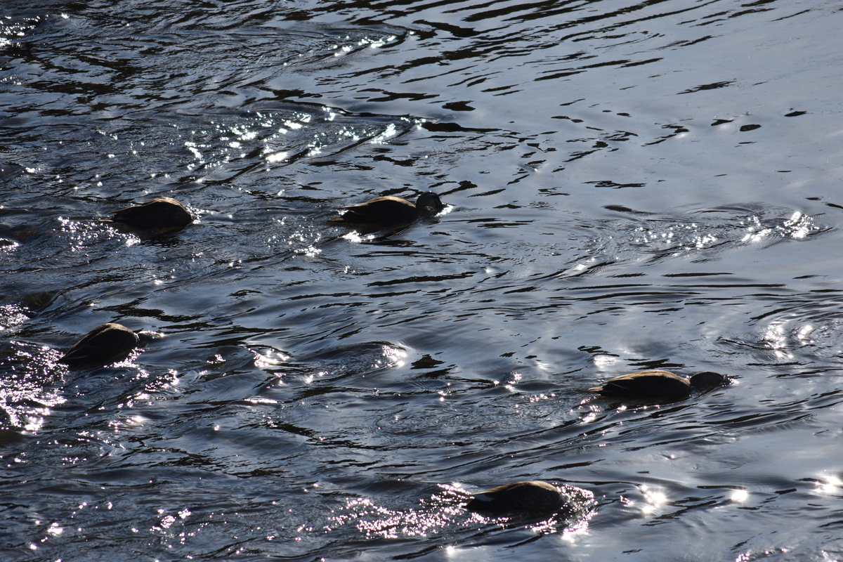 f:id:BlueTech:20210207190256j:plain