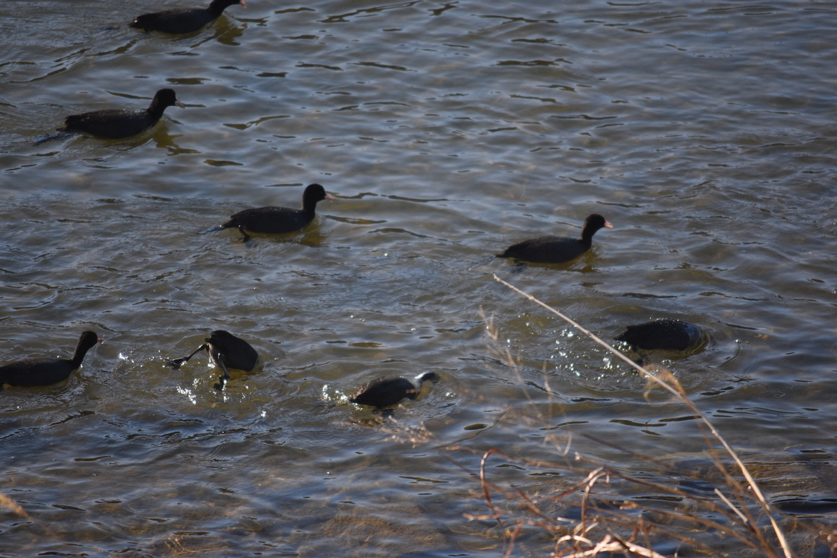 f:id:BlueTech:20210207210618j:plain