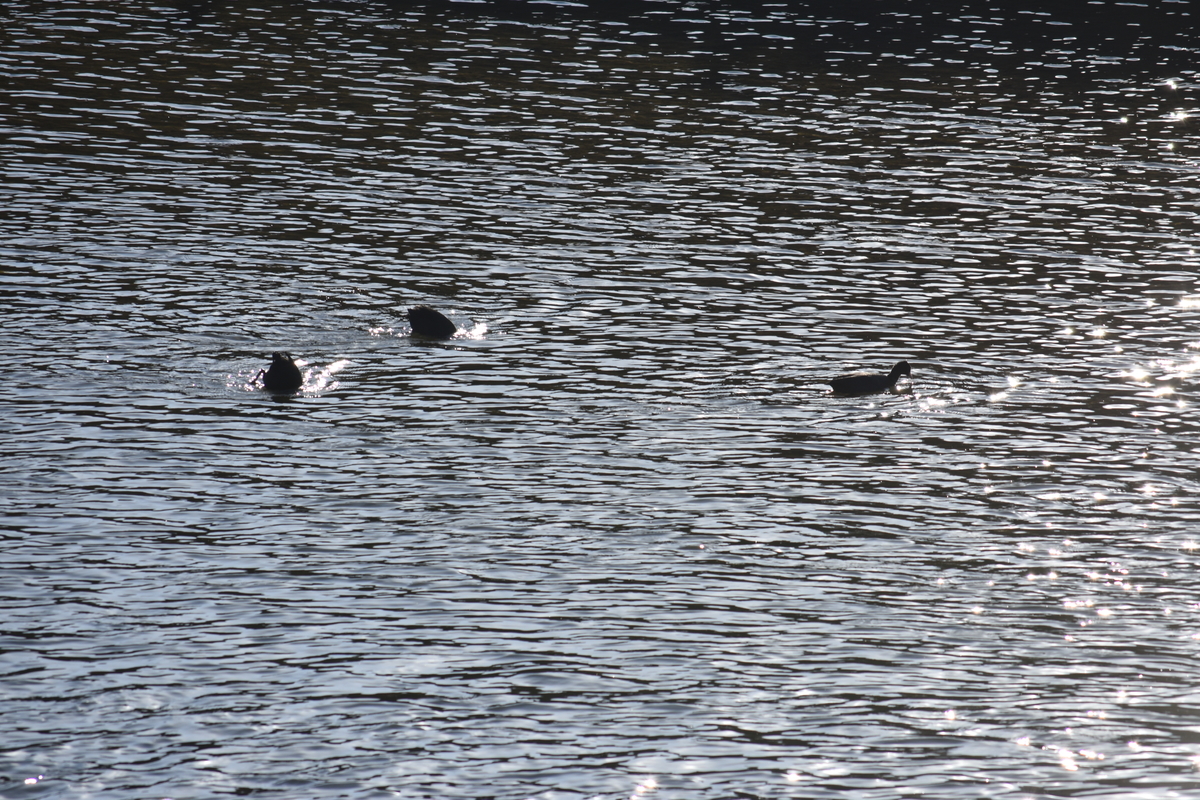 f:id:BlueTech:20210207210704j:plain