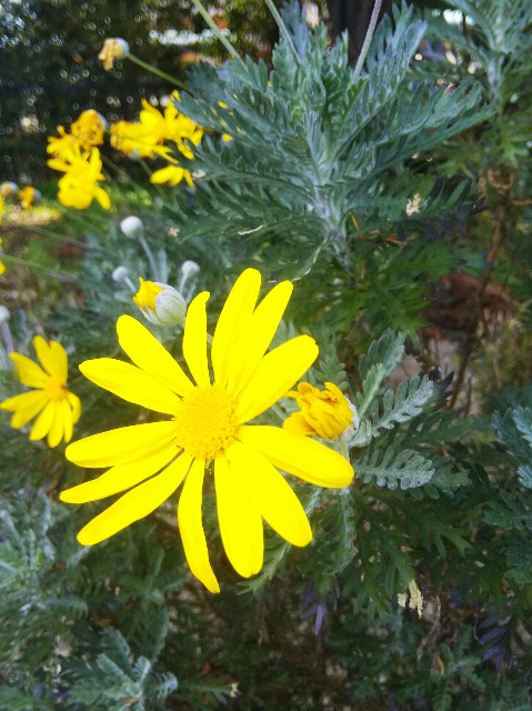 f:id:BlueTech:20210212101808j:plain