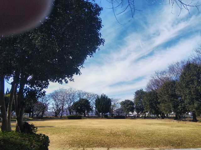 f:id:BlueTech:20210212101822j:plain