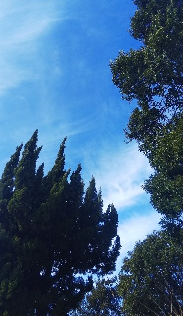 f:id:BlueTech:20210212101900j:plain