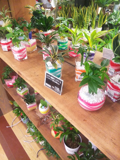 f:id:BlueTech:20210212102027j:plain