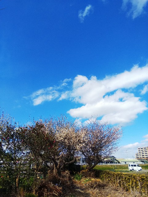 f:id:BlueTech:20210217190748j:plain