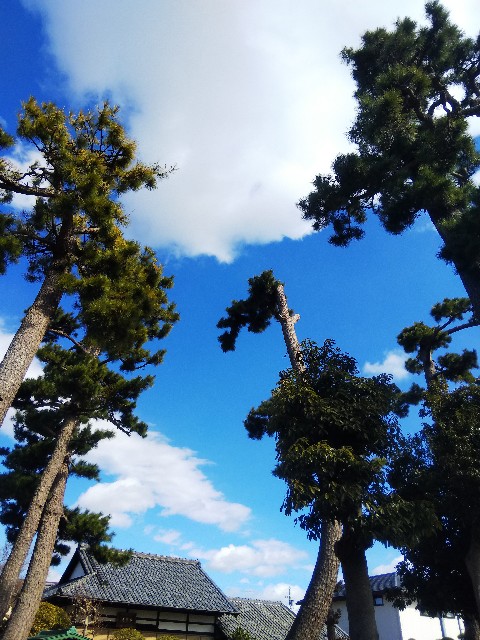 f:id:BlueTech:20210221205307j:plain