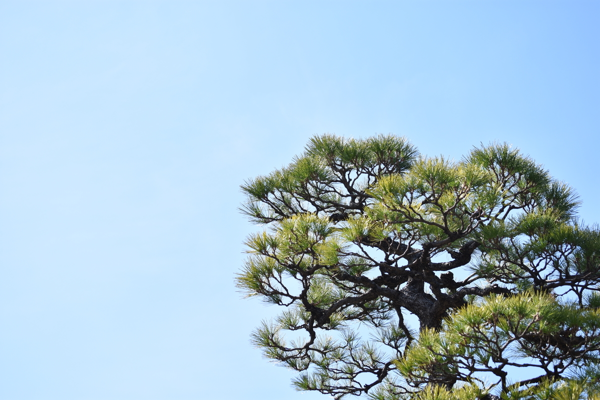 f:id:BlueTech:20210228182009j:plain