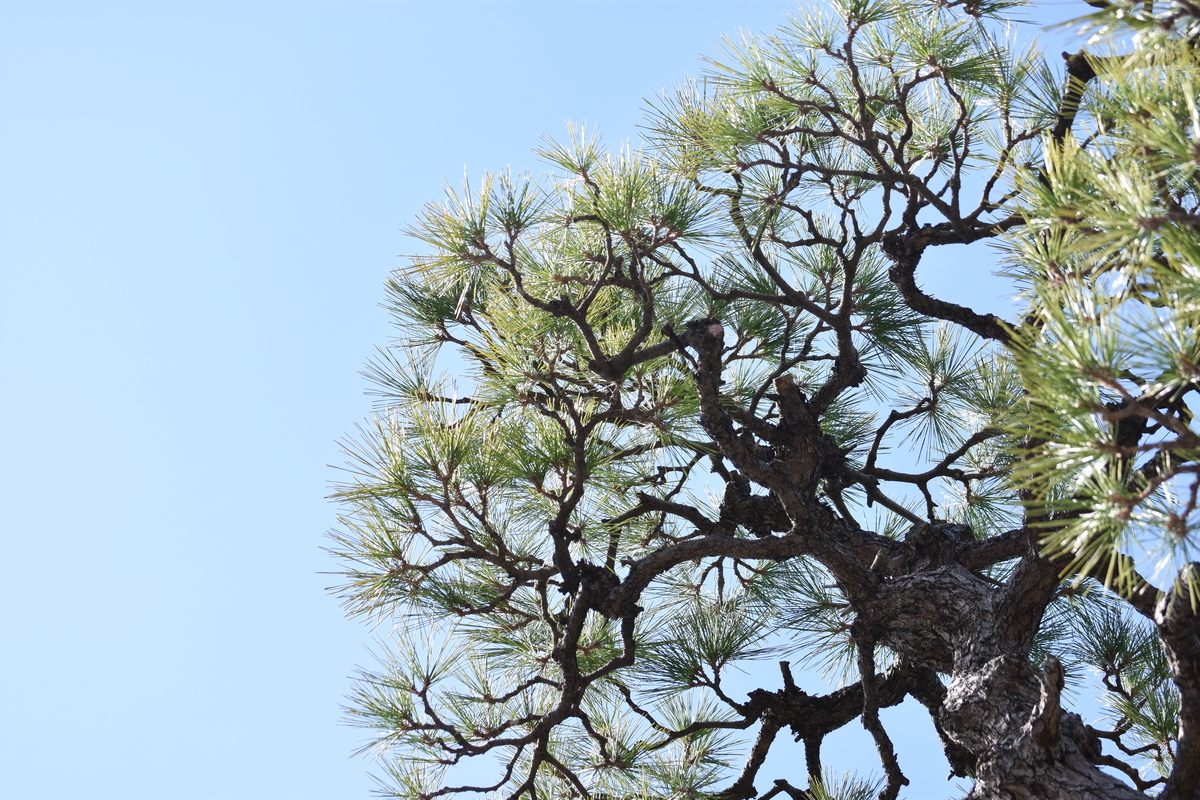 f:id:BlueTech:20210228182014j:plain