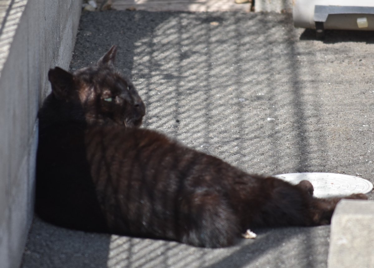 f:id:BlueTech:20210301100514j:plain