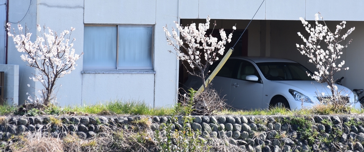 f:id:BlueTech:20210301102308j:plain