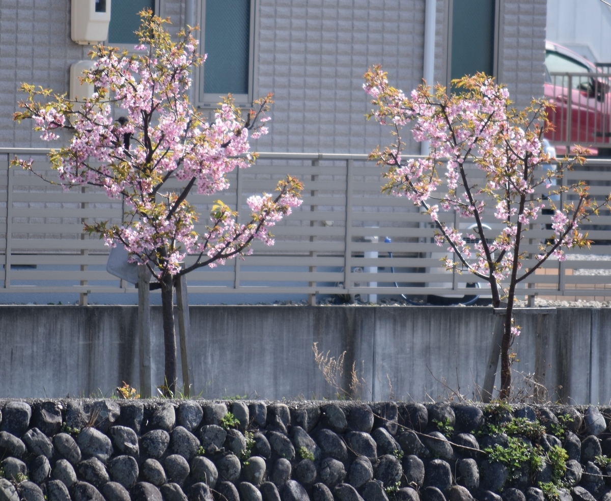 f:id:BlueTech:20210301102323j:plain