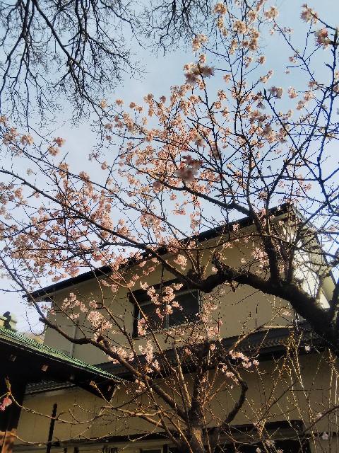 f:id:BlueTech:20210307112345j:plain