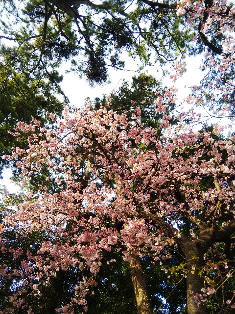 f:id:BlueTech:20210307112435j:plain