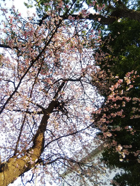 f:id:BlueTech:20210307112459j:plain