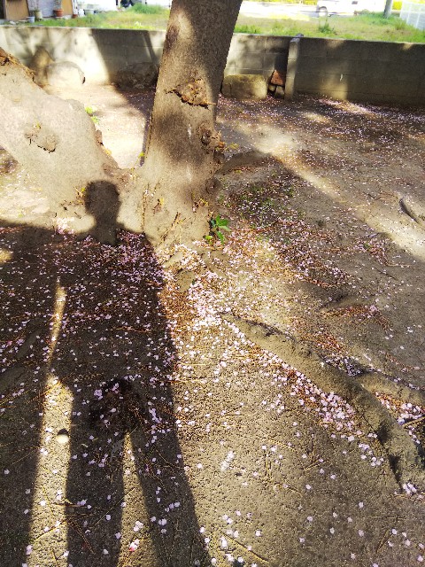 f:id:BlueTech:20210307112504j:plain