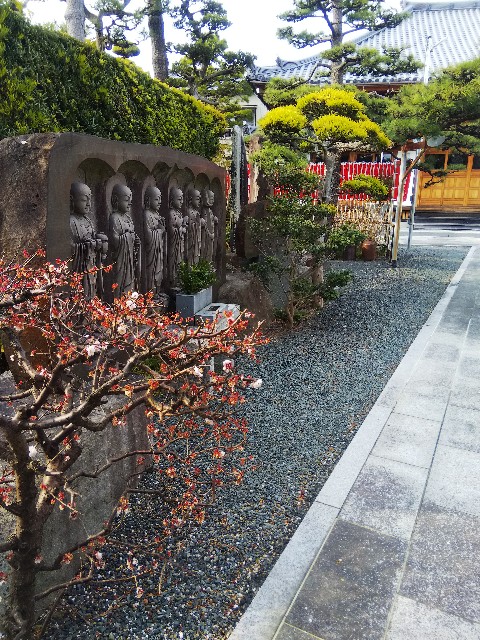 f:id:BlueTech:20210307181051j:plain