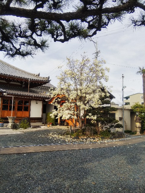 f:id:BlueTech:20210307181157j:plain