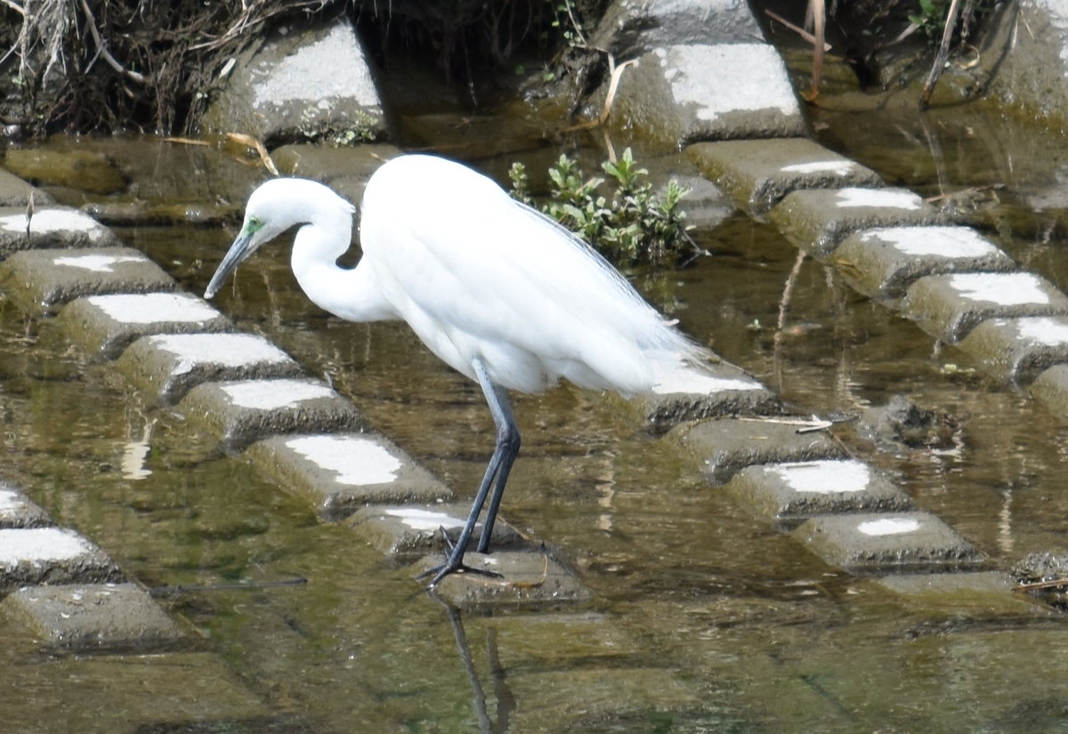 f:id:BlueTech:20210328074629j:plain