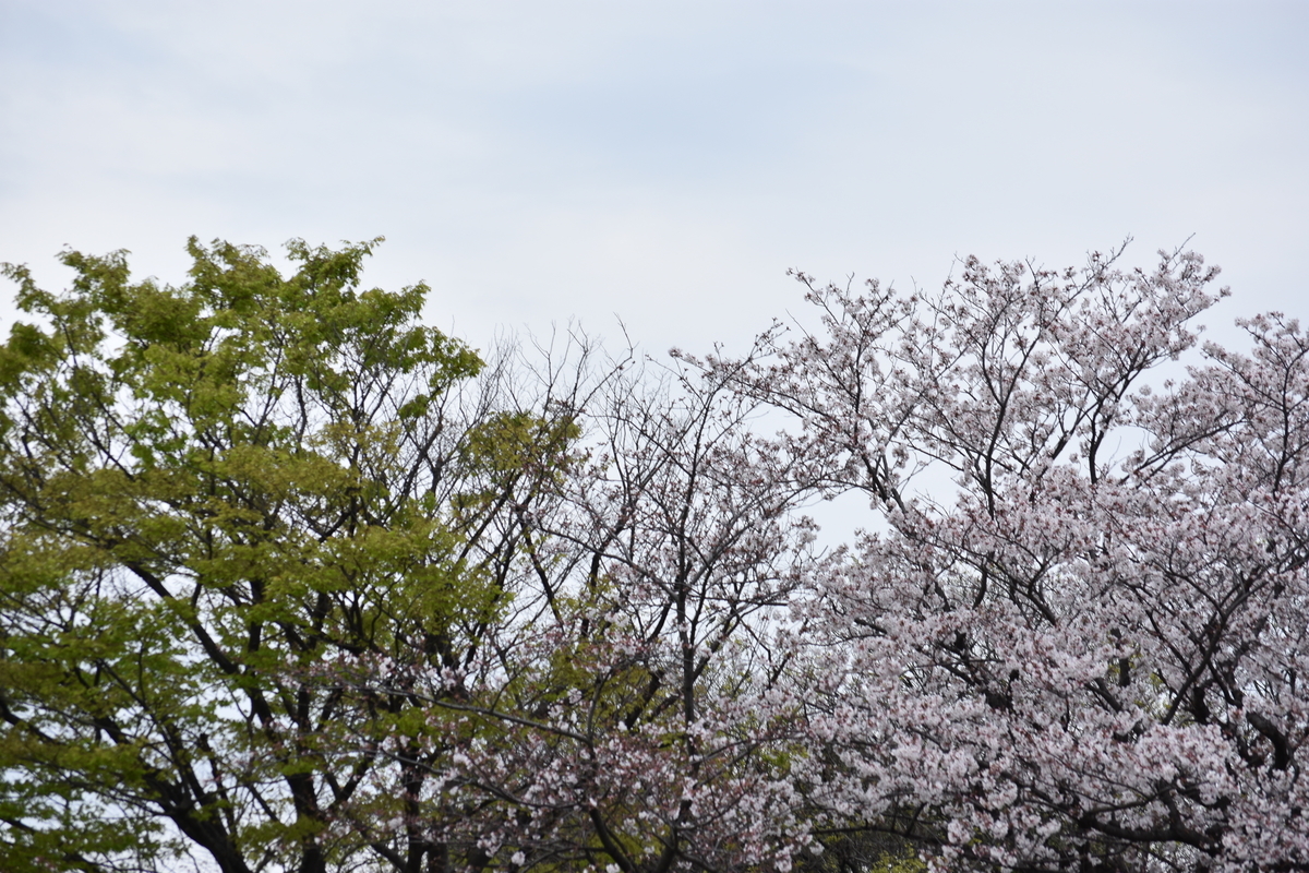 f:id:BlueTech:20210328133154j:plain