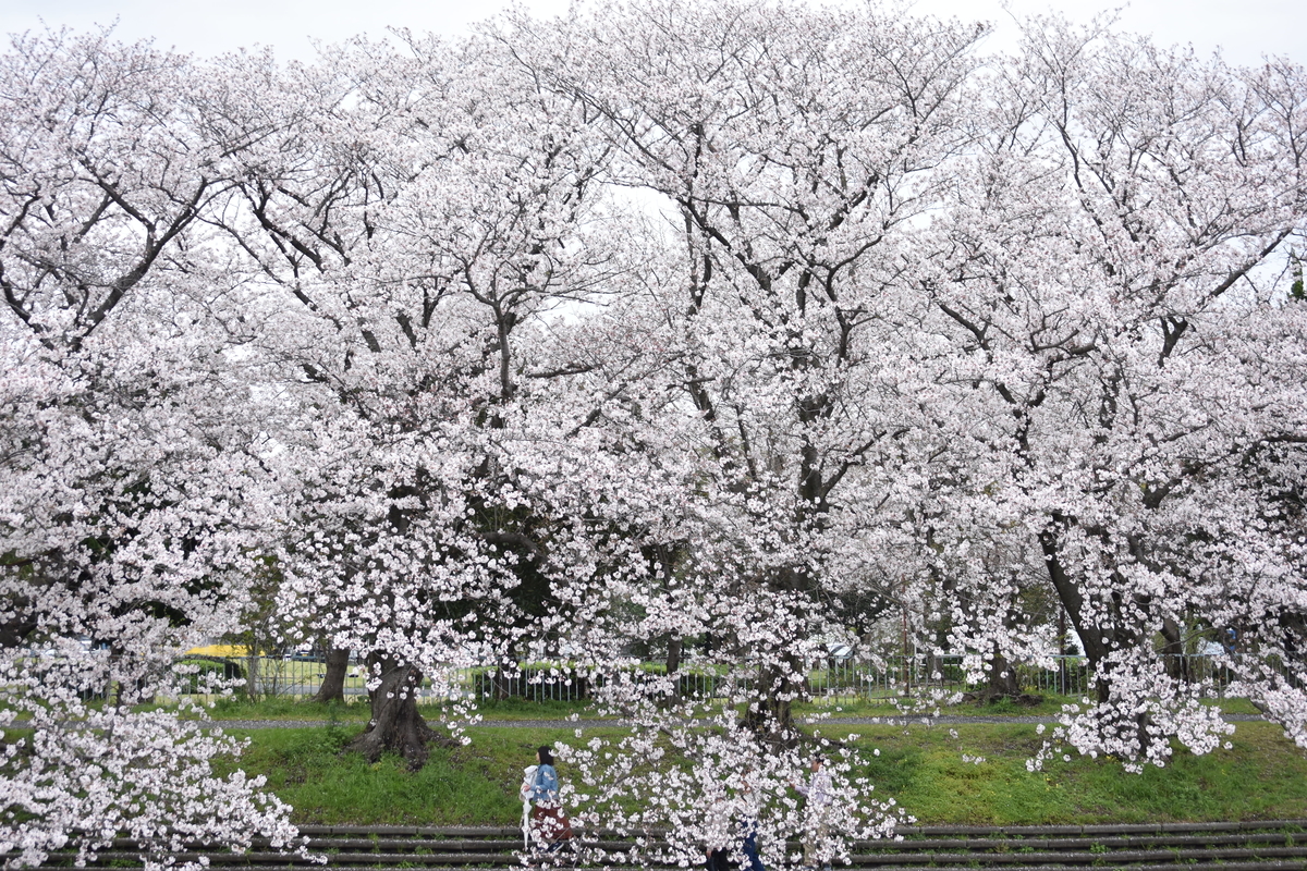 f:id:BlueTech:20210328133205j:plain