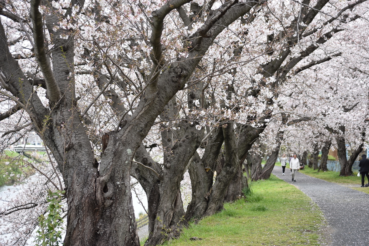 f:id:BlueTech:20210328133829j:plain