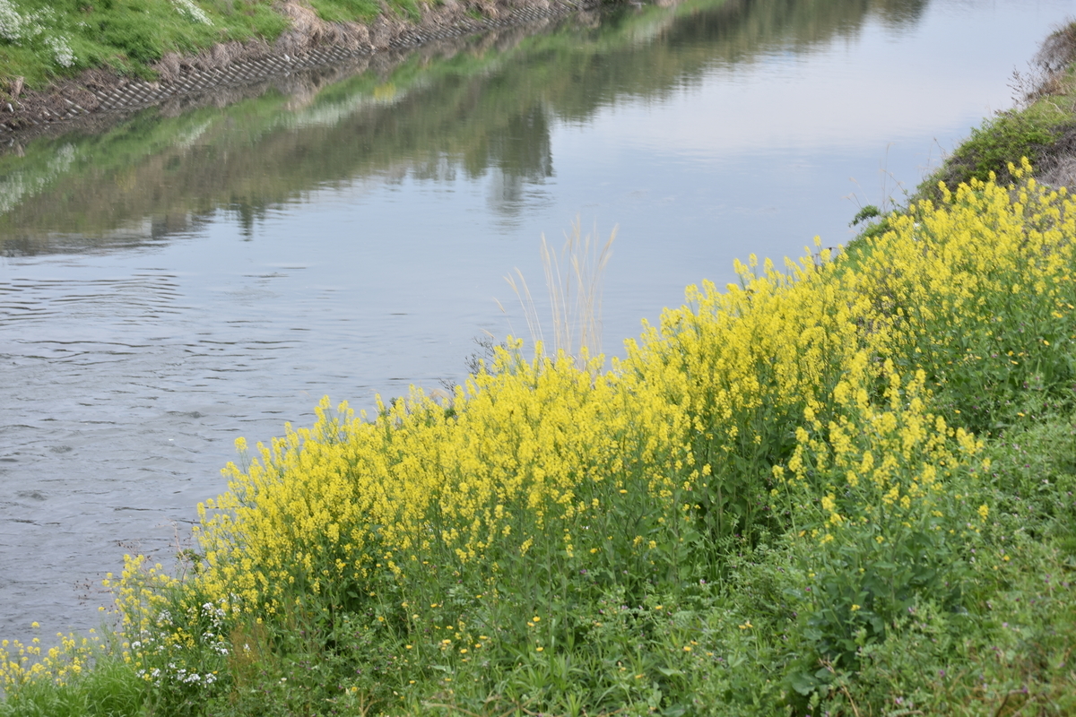 f:id:BlueTech:20210328133842j:plain