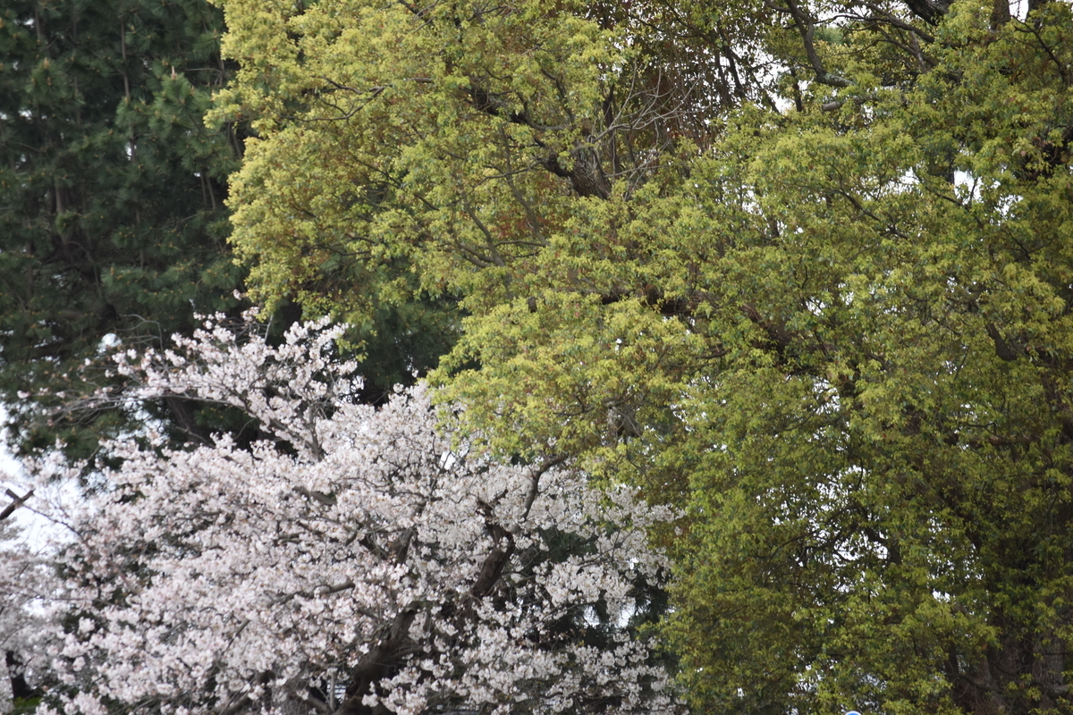 f:id:BlueTech:20210328133853j:plain